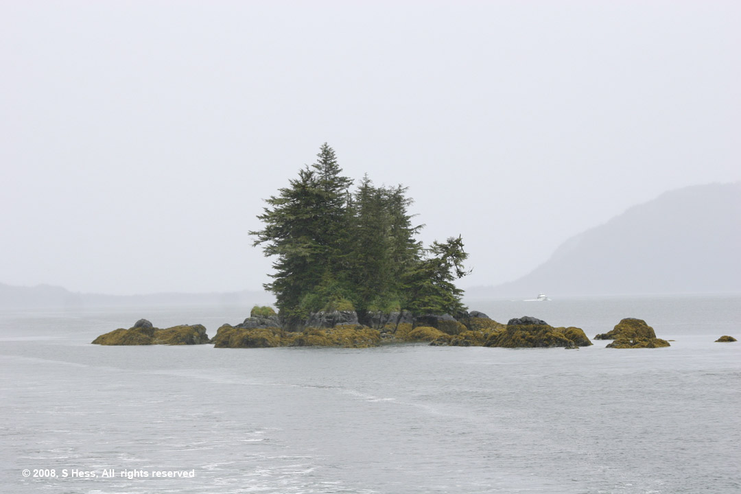 Island in Prince William Sound